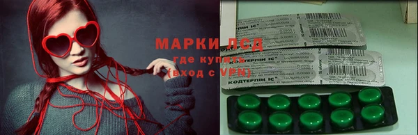 прущие грибы Новокубанск