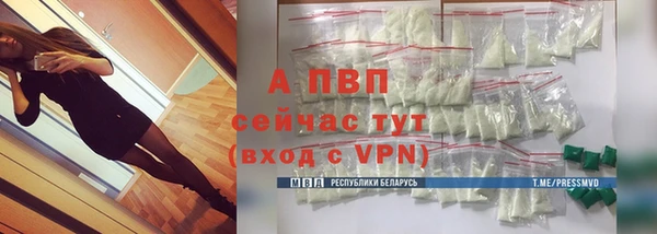 прущий лед Новозыбков