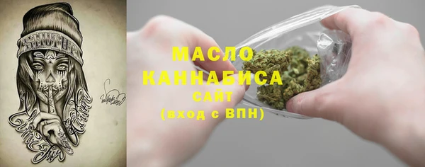 прущий лед Новозыбков