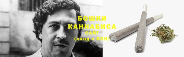 прущие грибы Новокубанск