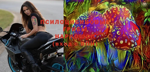 прущие грибы Новокубанск