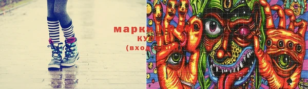 прущий лед Новозыбков