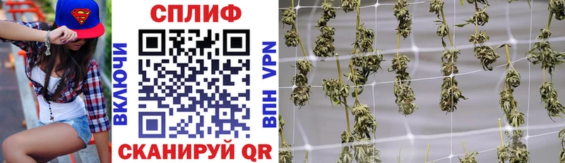 площадка состав  Разумное  Конопля планчик 